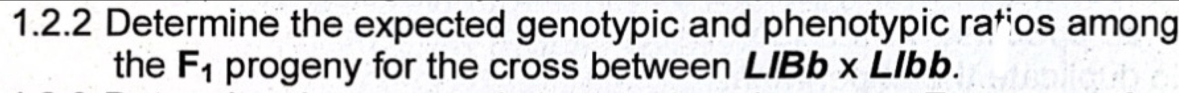 Determine the expected genotypic and phenotypic rafios among 
the F_1 progeny for the cross between LIBb* LIbb.