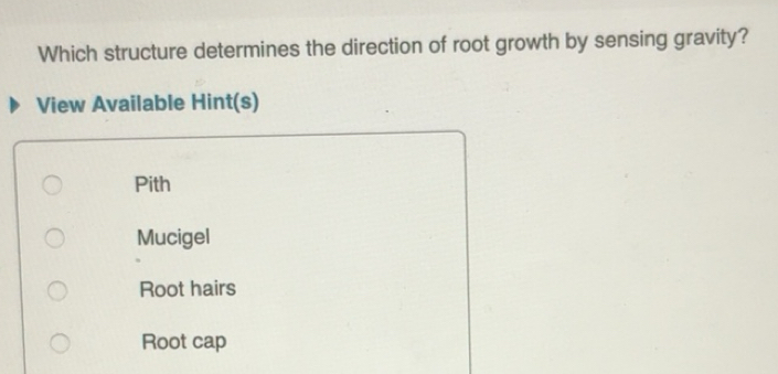 Solved: Which structure determines the direction of root growth by ...