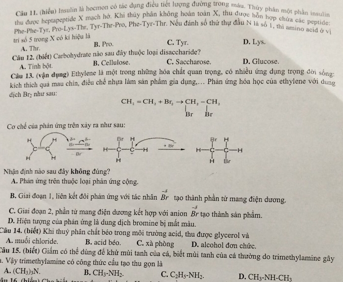 Cầu 11. (hiểu) Insulin là hocmon có tác dụng điều tiết lượng đường trong máu. Thủy phân một phần insulin
thu được heptapeptide X mạch hở. Khi thủy phân không hoàn toàn X, thu được hỗn hợp chứa các peptide:
Phe-Phe-Tyr, Pro-Lys-Thr, Tyr-Thr-Pro, Phe-Tyr-Thr. Nếu đánh số thứ thự đầu N là số 1, thì amino acid ở vị
tri số 5 trong X có kí hiệu là
A. Thr. B. Pro.
C. Tyr. D. Lys.
Câu 12. (biết) Carbohydrate nào sau đây thuộc loại disaccharide?
A. Tinh bột. B. Cellulose. C. Saccharose. D. Glucose.
Câu 13. (vận dụng) Ethylene là một trong những hóa chất quan trọng, có nhiều ứng dụng trọng đời sống:
kich thích quả mau chín, điều chế nhựa làm sản phầm gia dụng,.. Phản ứng hóa học của ethylene với dung
djch Br_2 như sau:
CH_2=CH_2+Br_2to CH_2-CH_2 .. ^^·  Br Br
Cơ chế của phản ứng trên xảy ra như sau:
 
Nhận định nào sau đây không đúng?
A. Phản ứng trên thuộc loại phản ứng cộng.
-8
B. Giai đoạn 1, liên kết đôi phản ứng với tác nhân Br tạo thành phần tử mang điện dương.
C. Giai đoạn 2, phần tử mang điện dương kết hợp với anion beginarrayr -delta  Brendarray * tạo thành sản phẩm.
D. Hiện tượng của phản ứng là dung dịch bromine bị mất màu.
Câu 14. (biết) Khi thuỷ phân chất béo trong môi trường acid, thu được glycerol và
A. muối chloride. B. acid béo. C. xà phòng D. alcohol đơn chức.
Câu 15. (biết) Giấm có thể dùng đề khử mùi tanh của cá, biết mùi tanh của cá thường do trimethylamine gây
a. Vậy trimethylamine có công thức cầu tạo thu gọn là
A. (CH_3)_3N. B. CH_3-NH_2. C. C_2H_5-NH_2. D. CH_3-NH-CH_3
âu 16  ( hiểu  C h i