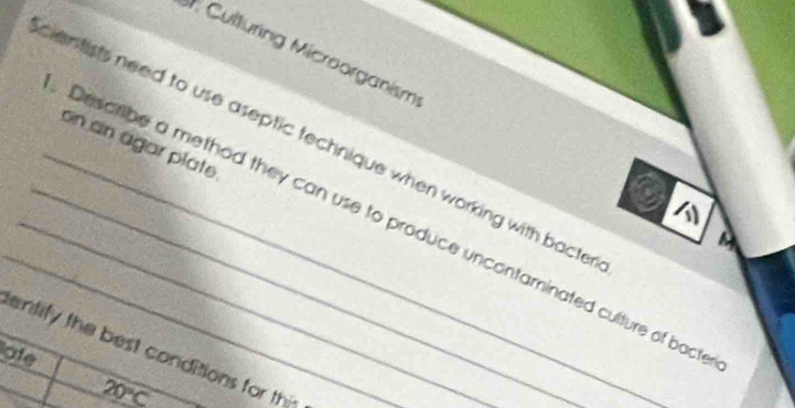 Culturing Microorganism 
on an agar plate 
_cientists need to use aseptic technique when working with bacte 
_Desoribe a method they can use to produce uncontaminated culture of bact 
M 
entify the best conditions for th 
late
20°C