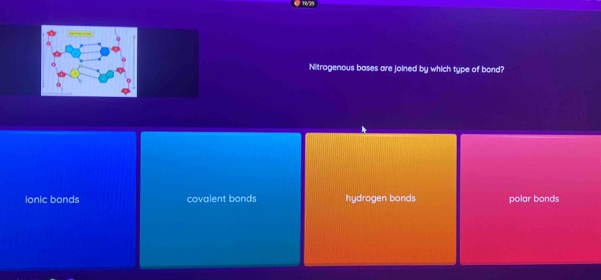 Nitrogenous bases are joined by which type of bond?
ionic bonds covalent bonds hydrogen bonds polar bonds