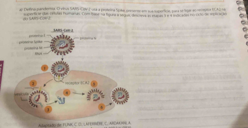 Defina pandemia. O vírus SARS-CoV- 2 usa a proteína Spike, presente em sua superfície, para se ligar ao receptor ECA2 na 
superfície das células humanas. Com base na figura a seguir, descreva as etapas 3 e 4 indicadas no ciclo de replicação 
do SARS-CoV- 2. 
Adaptado de: FUNK, C. D.; LAFERRIÈRE, C.; ARDAKANI, A.