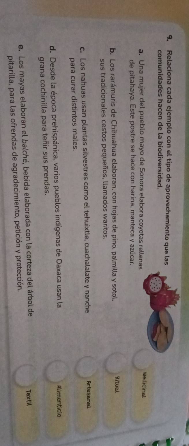 Relaciona cada ejemplo con el tipo de aprovechamiento que las
comunidades hacen de la biodiversidad.
a. Una mujer del pueblo mayo de Sonora elabora coyotas rellenas
Medicinal
de pitahaya. Este postre se hace con harina, manteca y azúcar.
b. Los rarámuris de Chihuahua elaboran, con hojas de pino, palmilla y sotol,
Ritual
sus tradicionales cestos pequeños, llamados waritos.
c. Los nahuas usan plantas silvestres como el tehuixtle, cuachalalate y nanche Artesanal
para curar distintos males.
d. Desde la época prehispánica, varios pueblos indígenas de Oaxaca usan la
Alimenticio
grana cochinilla para teñir sus prendas.
e. Los mayas elaboran el balché, bebida elaborada con la corteza del árbol de
Textil
pitarilla, para las ofrendas de agradecimiento, petición y protección.