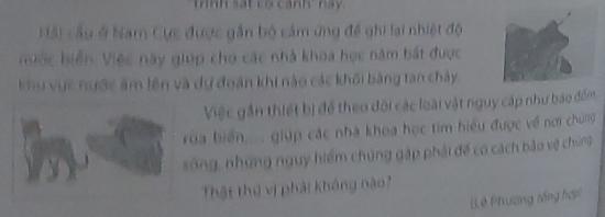 Hải cầu ở Nam Cực được gần bộ cảm ứng đề ghi lại nhiệt độ 
rược biển. Việc này giúp cho các nhà khoa học năm bắt được 
khu vực nước âm lên và dự đoàn khi nào các khối bằng tan chảy. 
Việc gần thiết bị để theo dội các loài vật nguy cấp như bao đồm 
ủa biến,.... giúp các nhà khoa học tim hiểu được về nơi chúng 
sông, những nguy hiểm chúng gặp phải đế có cách bảo vệ chúng 
Thật thứ vị phải không nào 
(Lê Phương tổng hợp