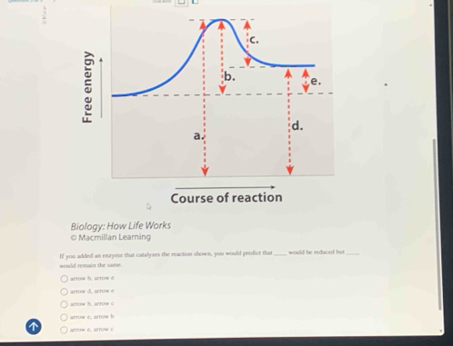 Biology: How Life Works
© Macmillan Learning
If you added an enzyme that catalyzes the reaction shown, you would predict that_ would be reduced but_
would remain the same.
arrow h, arrow
arrow d, arrow c
arrow b. arrow c
arrow e. arrow b
afw e. afrow (