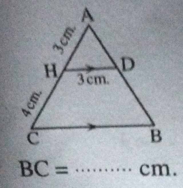 BC= _cm.