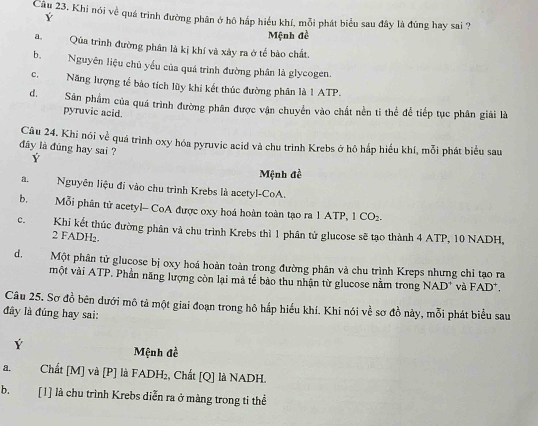 Ý
Câu 23. Khi nói về quá trình đường phân ở hô hấp hiểu khí, mỗi phát biểu sau đây là đùng hay sai ?
Mệnh đề
a. Qúa trình đường phân là kị khí và xảy ra ở tế bào chất.
b. Nguyên liệu chủ yếu của quá trình đường phân là glycogen.
c. Năng lượng tế bào tích lũy khi kết thúc đường phân là 1 ATP.
d. Sản phẩm của quá trình đường phân được vận chuyền vào chất nền ti thể để tiếp tục phân giải là
pyruvic acid.
Câu 24. Khí nói về quá trình oxy hóa pyruvic acid và chu trình Krebs ở hô hấp hiểu khí, mỗi phát biểu sau
đây là đúng hay sai ?
Ý
Mệnh đề
a. Nguyên liệu đi vào chu trình Krebs là acetyl-CoA.
b. Mỗi phân tử acetyl- CoA được oxy hoá hoàn toàn tạo ra 1 ATP, 1 CO2.
c. Khi kết thúc đường phân và chu trình Krebs thì 1 phân tử glucose sẽ tạo thành 4 ATP, 10 NADH,
2 FADH₂.
d. Một phân tử glucose bị oxy hoá hoàn toàn trong đường phân và chu trình Kreps nhưng chi tạo ra
một vài ATP. Phần năng lượng còn lại mà tế bảo thu nhận từ glucose nằm trong NAD* và FAD*.
Câu 25. Sơ đồ bên dưới mô tả một giai đoạn trong hô hấp hiếu khí. Khi nói về sơ đồ này, mỗi phát biểu sau
đây là đúng hay sai:
Ý
Mệnh đề
a. Chất [M] và [P] là FADH₂, Chất [Q] là NADH.
b. [1] là chu trình Krebs diễn ra ở màng trong ti thể