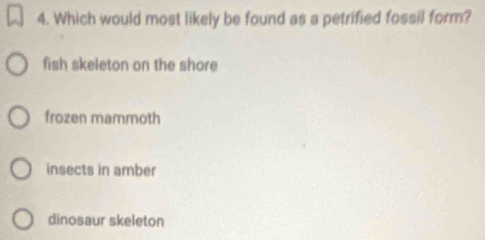 Which would most likely be found as a petrified fossil form?
fish skeleton on the shore
frozen mammoth
insects in amber
dinosaur skeleton