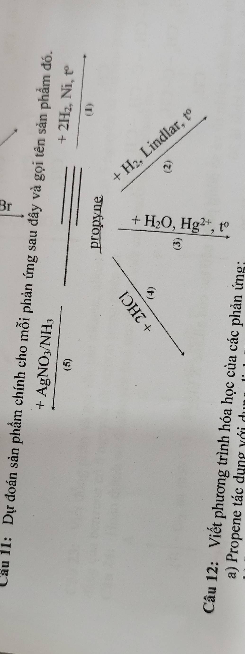 Cầu 11: Dự đoán sản phẩm chính cho mỗi phản ứng sau đây và gọi tên sản phẩm đó.
+AgNO_3/NH_3
(5)
frac +2H_2,Ni,t^o(t)
propyne

+2HC
(4) 
(3) 
: 
② 
Câu 12: Viết phương trình hóa học của các phản ứng: 
a Propene tác d u n v ớ