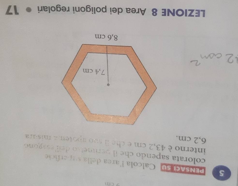 9cm
5 PENSACI SU Calcola larea della superficie 
colorata sapendo che il perimetro dell'esagono 
interno è 43,2 cm e che à suo apotema misura
6,2 cm. 
LEZIONE 8 Area dei poligoni regolari 17