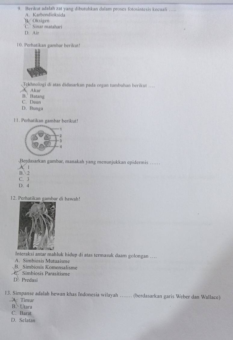 Berikut adalah zat yang dibutuhkan dalam proses fotosintesis kecuali …
A. Karbondioksida
B. Oksigen
C. Sinar matahari
D. Air
10. Perhatikan gambar berikut!
Tekhnologi di atas didasarkan pada organ tumbuhan berikut ….
A Akar
B. Batang
C. Daun
D. Bunga
11. Perhatikan gambar berikut!
Berdasarkan gambar, manakah yang menunjukkan epidermis ..
A. 1
B. 2
C. 3
D. 4
12. Perhatikan gambar di bawah!
Interaksi antar mahluk hidup di atas termasuk daam golongan ….
A. Simbiosis Mutuaisme
B. Simbiosis Komensalisme
C. Simbiosis Parasitisme
D. Predasi
13. Simpanse adalah hewan khas Indonesia wilayah …… (berdasarkan garis Weber dan Wallace)
A. Timur
B. Utara
C. Barat
D. Selatan