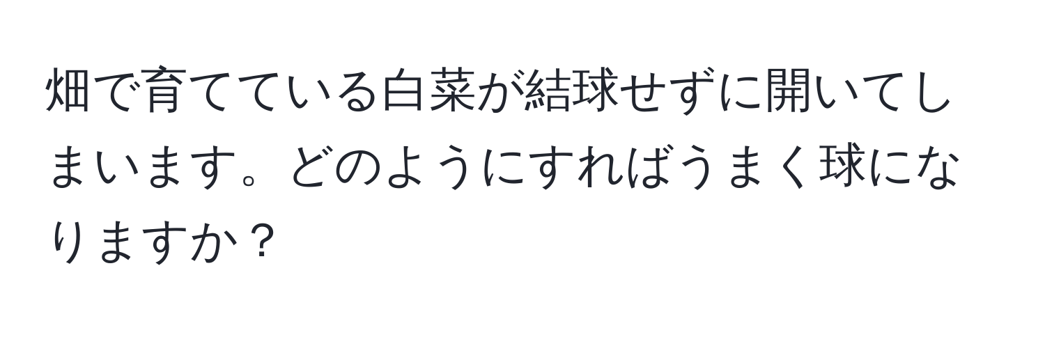 畑で育てている白菜が結球せずに開いてしまいます。どのようにすればうまく球になりますか？