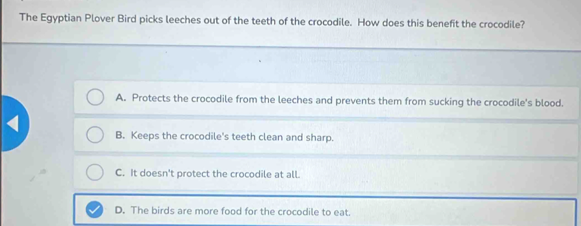 The Egyptian Plover Bird picks leeches out of the teeth of the crocodile. How does this benefit the crocodile?
A. Protects the crocodile from the leeches and prevents them from sucking the crocodile's blood.
B. Keeps the crocodile's teeth clean and sharp.
C. It doesn't protect the crocodile at all.
D. The birds are more food for the crocodile to eat.