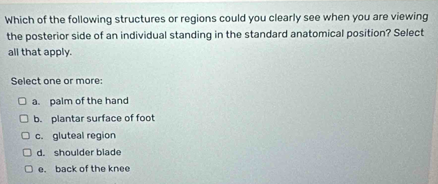 Which of the following structures or regions could you clearly see when you are viewing
the posterior side of an individual standing in the standard anatomical position? Select
all that apply.
Select one or more:
a. palm of the hand
b. plantar surface of foot
c. gluteal region
d. shoulder blade
e. back of the knee