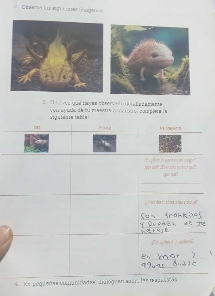 Observa las siguientes imágenes: 
3. Una vez que hayas observado detalladamente, 
con ayuda de tu maestra o maestro, completa la 
4. En pequeñas comunidade