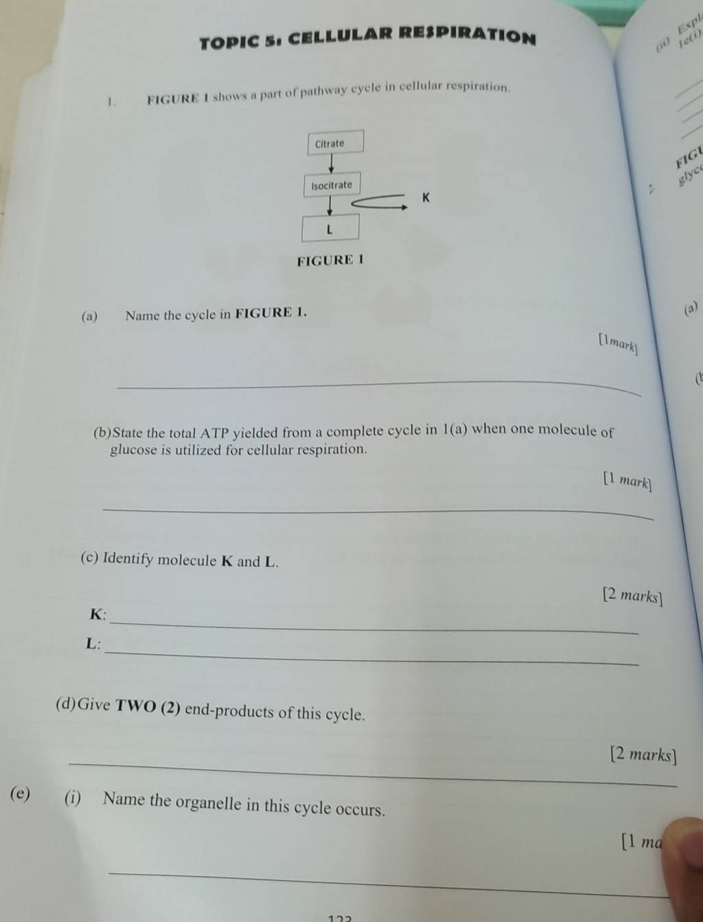 TOPIC 5, CELLULAR RE3PIRATION 
ii) Exp. 
t e () 
_ 
_ 
_ 
l. FIGURE 1 shows a part of pathway cycle in cellular respiration. 
_ 
Citrate 
FI G 
Isocitrate 
glyc
K
L
FIGURE 1 
(a) Name the cycle in FIGURE 1. 
(a) 
[1mark] 
_ 
(b)State the total ATP yielded from a complete cycle in 1(a) when one molecule of 
glucose is utilized for cellular respiration. 
[l mark] 
_ 
(c) Identify molecule K and L. 
[2 marks] 
_
K : 
_
L : 
(d)Give TWO (2) end-products of this cycle. 
_ 
[2 marks] 
(e) (i) Name the organelle in this cycle occurs. 
[1 ma 
_