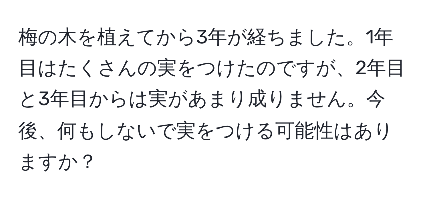 梅の木を植えてから3年が経ちました。1年目はたくさんの実をつけたのですが、2年目と3年目からは実があまり成りません。今後、何もしないで実をつける可能性はありますか？