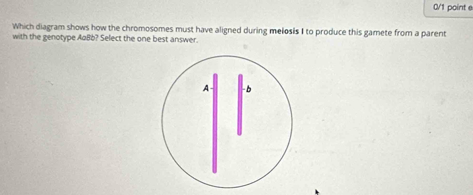 Which diagram shows how the chromosomes must have aligned during melosis I to produce this gamete from a parent 
with the genotype AaBb? Select the one best answer.