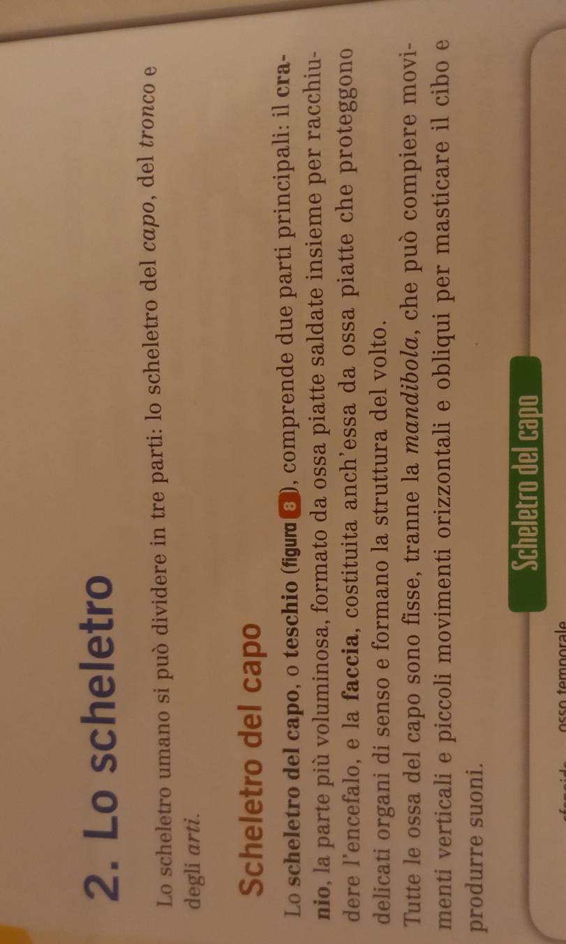 Lo scheletro 
Lo scheletro umano si può dividere in tre parti: lo scheletro del capo, del tronco e 
degli arti. 
Scheletro del capo 
Lo scheletro del capo, o teschio (⑬), comprende due parti principali: il cra- 
nio, la parte più voluminosa, formato da ossa piatte saldate insieme per racchiu- 
dere l’encefalo, e la faccia, costituita anch’essa da ossa piatte che proteggono 
delicati organi di senso e formano la struttura del volto. 
Tutte le ossa del capo sono fisse, tranne la mandibola, che può compiere movi- 
menti verticali e piccoli movimenti orizzontali e obliqui per masticare il cibo e 
produrre suoni. 
Scheletro del capo