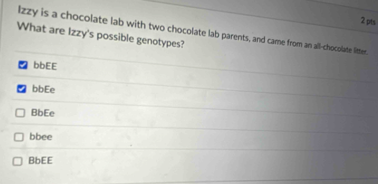 lzzy is a chocolate lab with two chocolate lab parents, and came from an all-chocolate litter.
What are Izzy's possible genotypes?
bbEE
bbEe
BbEe
bbee
BbEE