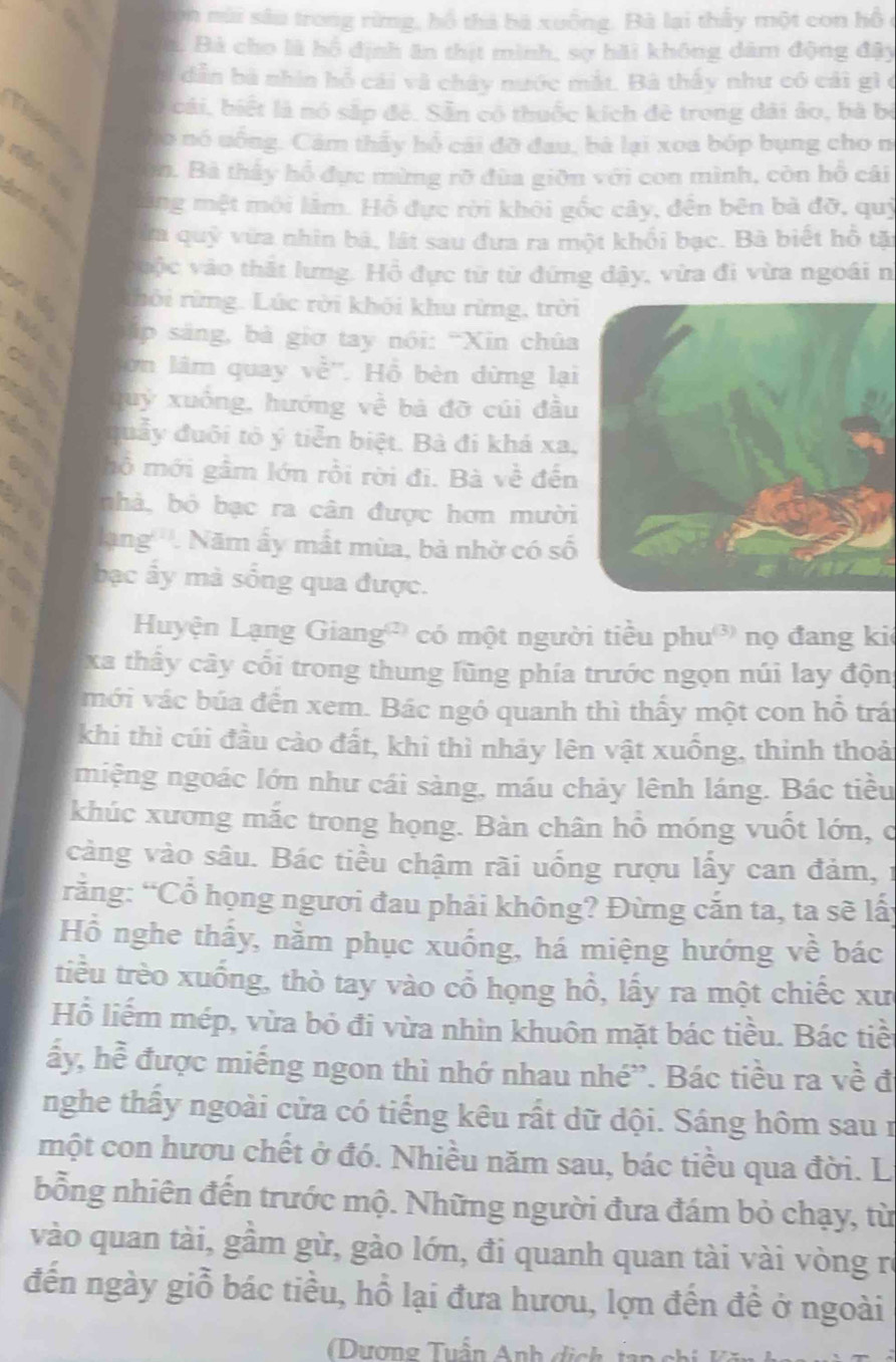 con mùi sâu trong rừng, hồ thà bà xuồng. Bà lại thầy một con hồ ở
à. Bà cho là bổ định ăn thịt mình, sợ hãi không dâm động đậy
: dẫn bà nhìn hỗ cái và chây nước mắt. Bà thấy như có cái gì ở
ó cái, biết là nó sắp đẻ. Sẵn có thuốc kích đẻ trong dài áo, bà bộ
o nó uống. Cảm thấy hổ cái đỡ đau, bà lại xoa bóp bụng cho n
ôn. Bà thây hổ đực mừng rỡ đùa giữn với con mình, còn hồ cái
lãng mệt môi lâm. Hồ đực rời khôi gốc cây, đến bên bà đỡ, quý
ửa quỹ vừa nhìn bà, lát sau đưa ra một khổi bạc. Bà biết hỗ tặt
vuộc vào thất lưng. Hồ đực từ từ đứng dậy, vừa đi vừa ngoái n
on lé thôi rừng. Lúc rời khôi khu rừng, trời
áp sáng, bà giờ tay nói: "Xin chúa
C  t
ờn lâm quay về''. Hồ bèn dừng lại
quý xuống, hướng về bà đỡ củi đầu
quảy đuôi tô ý tiễn biệt. Bà đi khá xa,
mồ mới gầm lớn rồi rời đi. Bà về đến
nhà, bỏ bạc ra cân được hơn mười
ang'''. Năm ấy mất mùa, bà nhờ có số
bạc ấy mà sống qua được.
Huyện Lạng Giang' có một người tiều phu³ nọ đang ki
xa thây cây cối trong thung lũng phía trước ngọn núi lay độn
mới vác búa đến xem. Bác ngó quanh thì thấy một con hỗ trá
khi thì cúi đầu cào đất, khi thì nhảy lên vật xuống, thinh thoả
miệng ngoác lớn như cái sàng, máu chảy lênh láng. Bác tiều
khúc xương mắc trong họng. Bàn chân hỗ móng vuốt lớn, c
càng vào sâu. Bác tiều chậm rãi uống rượu lấy can đảm, 1
rằng: “Cổ họng ngươi đau phải không? Đừng cắn ta, ta sẽ lấy
Hồ nghe thấy, nằm phục xuồng, há miệng hướng về bác
tiều trèo xuống, thò tay vào cổ họng hồ, lấy ra một chiếc xư
Hồ liếm mép, vừa bỏ đi vừa nhìn khuôn mặt bác tiều. Bác tiề
ấy, hề được miếng ngon thì nhớ nhau nhé”. Bác tiều ra về đ
nghe thấy ngoài cửa có tiếng kêu rất dữ dội. Sáng hôm sau n
một con hươu chết ở đó. Nhiều năm sau, bác tiều qua đời. Li
bỗng nhiên đến trước mộ. Những người đưa đám bỏ chạy, từ
vào quan tài, gầm gừ, gào lớn, đi quanh quan tài vài vòng rở
đến ngày giỗ bác tiều, hồ lại đưa hươu, lợn đến để ở ngoài
Dượng Tuần Anh dịch tan c hi