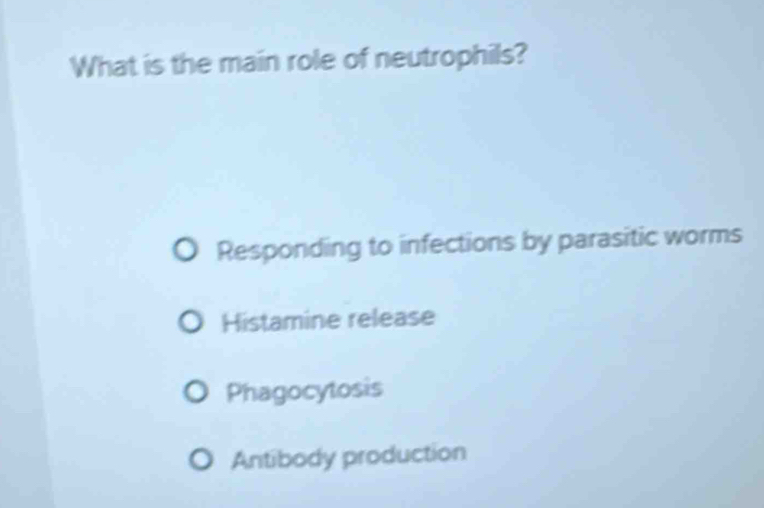 What is the main role of neutrophils?
Responding to infections by parasitic worms
Histamine release
Phagocytosis
Antibody production