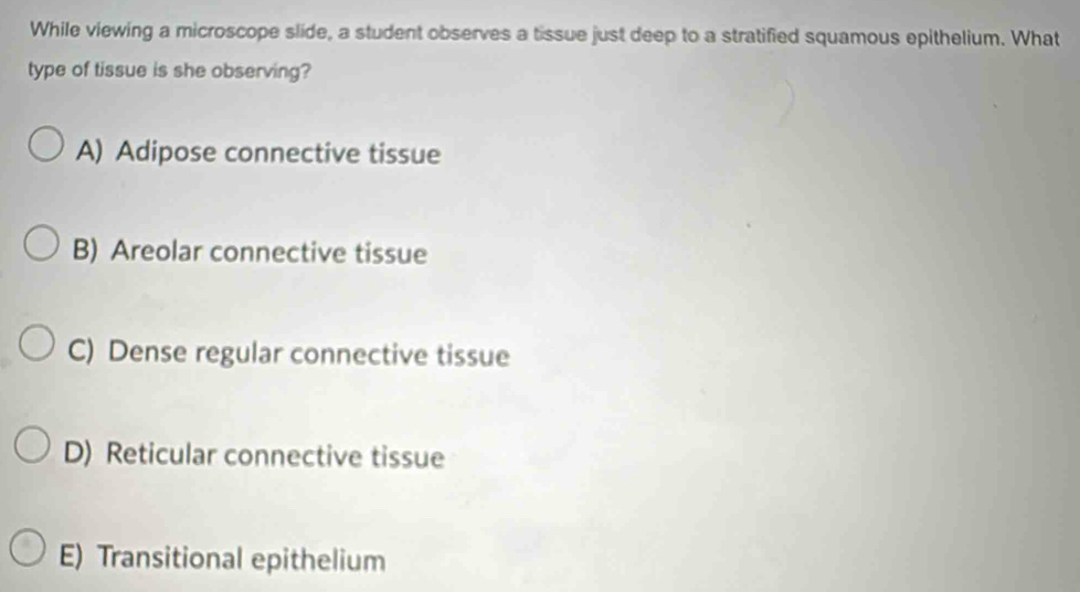 While viewing a microscope slide, a student observes a tissue just deep to a stratified squamous epithelium. What
type of tissue is she observing?
A) Adipose connective tissue
B) Areolar connective tissue
C) Dense regular connective tissue
D) Reticular connective tissue
E) Transitional epithelium