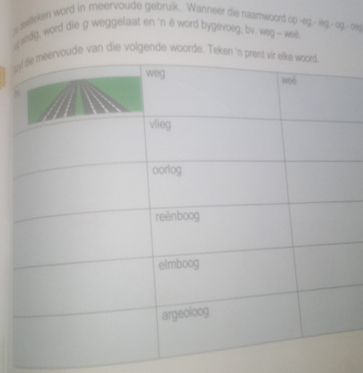 deelleken word in meervoude gebruik. Wanneer die naamwoord op -eg,- leg,- og,- oeg 
g eindig, word die g weggelaat en 'n ë word bygevoeg, bv. weg - weë. 
sde van die volgende woorde. Tek