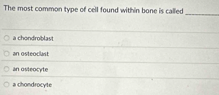 The most common type of cell found within bone is called
_
a chondroblast
an osteoclast
an osteocyte
a chondrocyte