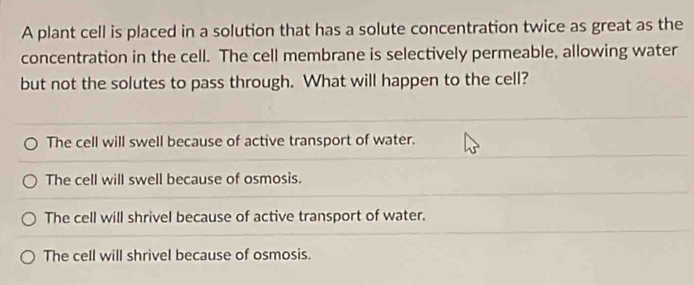 A plant cell is placed in a solution that has a solute concentration twice as great as the
concentration in the cell. The cell membrane is selectively permeable, allowing water
but not the solutes to pass through. What will happen to the cell?
The cell will swell because of active transport of water.
The cell will swell because of osmosis.
The cell will shrivel because of active transport of water.
The cell will shrivel because of osmosis.