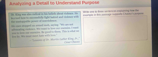 Solved: Analyzing a Detail to Understand Purpose Dr. King was also ...
