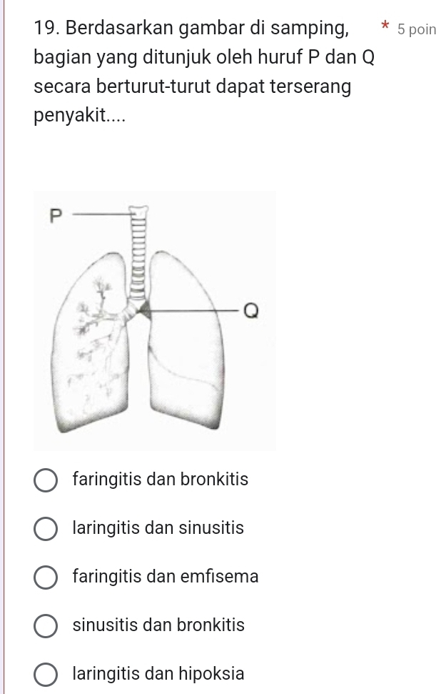 Berdasarkan gambar di samping, 5 poin
bagian yang ditunjuk oleh huruf P dan Q
secara berturut-turut dapat terserang
penyakit....
faringitis dan bronkitis
laringitis dan sinusitis
faringitis dan emfisema
sinusitis dan bronkitis
laringitis dan hipoksia