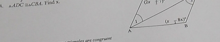 △ ADC≌ △ CBA , Find x. 
gmeles are congruent