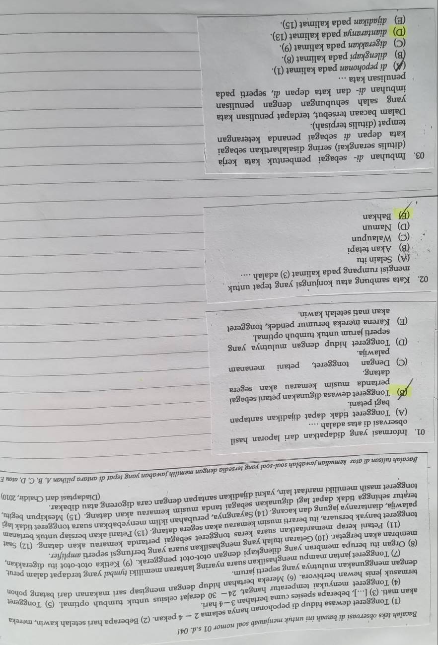 Bacalah teks observasi di bawah ini untuk menjawab soal nomor 01 s.d. 04!
(1) Tonggeret dewasa hidup di pepohonan hanya selama 2 — 4 pekan. (2) Beberapa hari setelah kawin, mereka
akan mati. (3) […], beberapa spesies cuma bertahan 3—4 hari.
(4) Tonggeret menyukai temperatur hangat, 24~ 30 derajat celsius untuk tumbuh optimal. (5) Tonggeret
termasuk jenis hewan herbivora. (6) Mereka bertahan hidup dengan mengisap sari makanan dari batang pohon
dengan menggunakan mulutnya yang seperti jarum.
(7) Tonggeret jantan mampu menghasilkan suara nyaring lantaran memiliki tymbal yang terdapat dalam perut
(8) Organ itu berupa membran yang dilengkapi dengan otot-otot penggerak. (9) Ketika otot-otot itu digerakkan
membran akan bergetar. (10) Getaran itulah yang menghasilkan suara yang berfungsi seperti amplifier.
(11) Petani kerap memanfaatkan suara keras tonggeret sebagai pertanda kemarau akan datang. (12) Saat
tonggeret banyak bersuara, itu berarti musim kemarau akan segera datang. (13) Petani akan bersiap untuk bertanam
palawija, diantaranya jagung dan kacang. (14) Sayangnya, perubahan iklim menyebabkan suara tonggeret tidak lagi
teratur sehingga tidak dapat lagi digunakan sebagai tanda musim kemarau akan datang. (15) Meskipun begitu
tonggeret masih memiliki manfaat lain, yakni dijadikan santapan dengan cara digoreng atau dibakar.
(Diadaptasi dari Chaidir, 2010)
_
Bacalah tulisan di atas kemudian jawablah soal-soal yang tersedia dengan memilih jawaban yang tepat di antara pilihan A, B, C, D, atau E
01. Informasi yang didapatkan dari laporan hasil
_
observasi di atas adalah ..
(A) Tonggeret tidak dapat dijadikan santapan
_
bagi petani.
_
(B) Tonggeret dewasa digunakan petani sebagai_
pertanda musim kemarau akan segera
datang.
(C) Dengan tonggeret, petani menanam
_
palawija.
_
(D) Tonggeret hidup dengan mulutnya yang_
seperti jarum untuk tumbuh optimal.
(E) Karena mereka berumur pendek, tonggeret_
_
akan mati setelah kawin.
02. Kata sambung atau konjungsi yang tepat untuk
_
mengisi rumpang pada kalimat (3) adalah …_
(A) Selain itu
(B) Akan tetapi
_
(C) Walaupun
_
_
(D) Namun
_
(B Bahkan
_
_
_
03. Imbuhan di- sebagai pembentuk kata kerja
_
(ditulis serangkai) sering disalahartikan sebagai_
tempat (ditulis terpisah).
_
_
kata depan di sebagai penanda keterangan
_
_
Dalam bacaan tersebut, terdapat penulisan kata
yang salah sehubungan dengan penulisan
imbuhan di- dan kata depan di, seperti pada_
penulisan kata ..
(A) di pepohonan pada kalimat (1)._
_
_
(B) dilengkapi pada kalimat (8).
(C) digerakkan pada kalimat (9).
(D) diantaranya pada kalimat (13)._
_
(E) dijadikan pada kalimat (15).