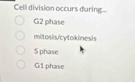 Cell division occurs during...
G2 phase
mitosis/cytokinesis
S phase
G1 phase