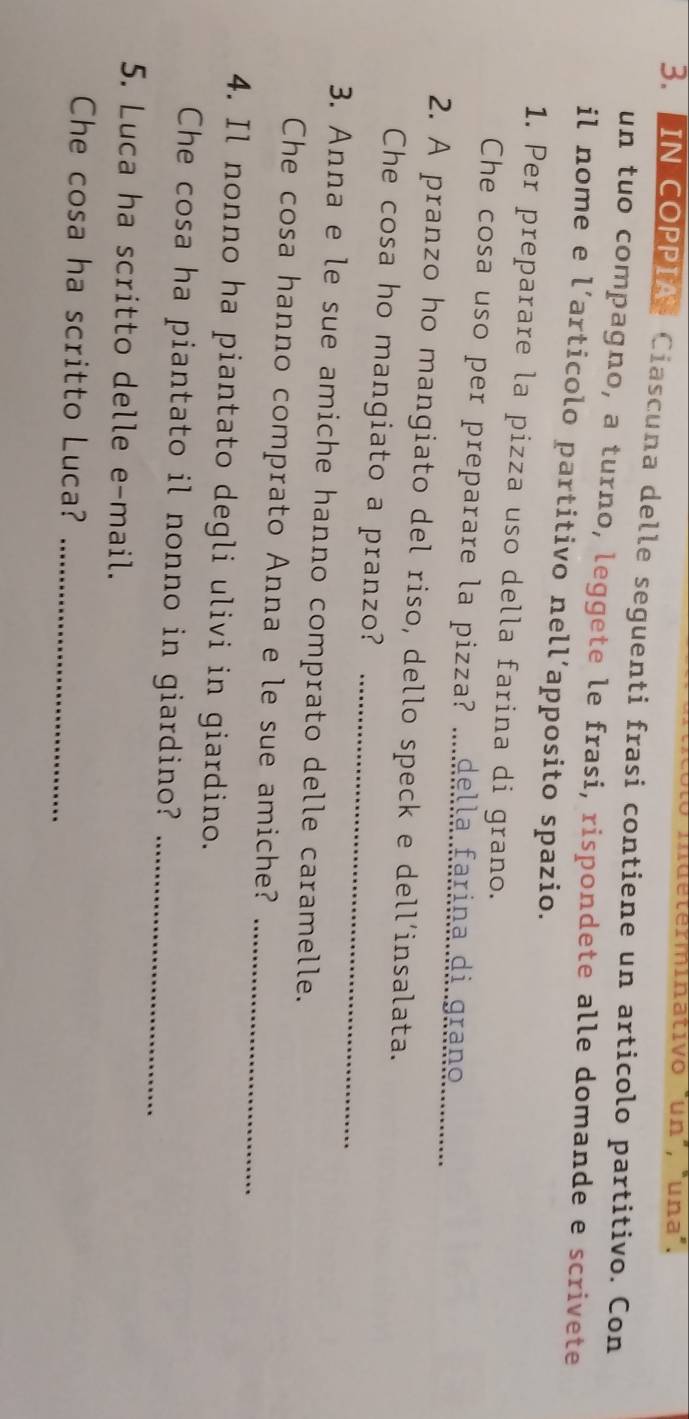 rm i n a tivo "un", "u na". 
3. IN COPPI Ciascuna delle seguenti frasi contiene un articolo partitivo. Con 
un tuo compagno, a turno, leggete le frasi, rispondete alle domande e scrivete 
il nome e l’articolo partitivo nell’apposito spazio. 
1. Per preparare la pizza uso della farina di grano. 
Che cosa uso per preparare la pizza? _della farina di grano 
2. A pranzo ho mangiato del riso, dello speck e dell’insalata. 
_ 
Che cosa ho mangiato a pranzo? 
3. Anna e le sue amiche hanno comprato delle caramelle. 
Che cosa hanno comprato Anna e le sue amiche?_ 
4. Il nonno ha piantato degli ulivi in giardino. 
Che cosa ha piantato il nonno in giardino?_ 
5. Luca ha scritto delle e-mail. 
Che cosa ha scritto Luca?_