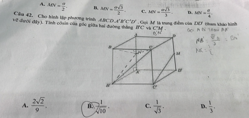 A. MN= a/2 . B. MN= asqrt(3)/2 . C. MN= asqrt(3)/3 . D. MN= a/4 .
Câu 42. Cho hình lập phương trình ABCD.A'B'C'D'. Gọi M là trung điểm của DD (tham khảo hình
vẽ dưới đây). Tính côsin của góc giữa hai đường thẳng B'C và C'M.
A.  2sqrt(2)/9 .  1/sqrt(10) .  1/sqrt(3) .  1/3 .
B.
C.
D.