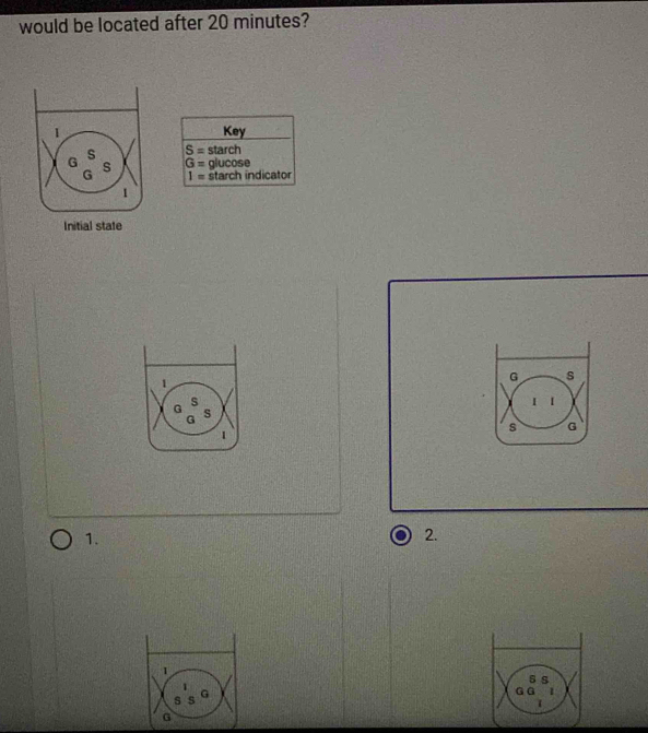 would be located after 20 minutes? 
Key
S= starch
G= glucose
1= starch indicator 
1. 
2.