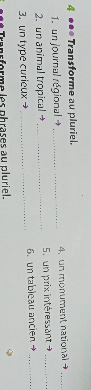4 ●●● Transforme au pluriel. 
1. un journal régional _4. un monument national_ 
2. un animal tropical · _5. un prix intéressant_ 
6. un tableau ancien_ 
3. un type curieux_ 
Transforme les phrases au pluriel.
