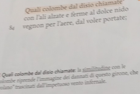 Quali colombe dal disio chiamate 
con l'áli álzate e ferme al dolce nido
84 vegnon per l'aere, dal voler portate; 
l Quali colombe dal disio chiamate: la similitadine con le 
rolombe riprende l'immagine dei dannati di questo girone, che 
tolano'' trascinatí dall impetuoso vento infernale.