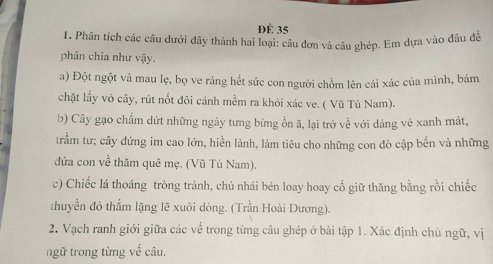 đè 35
1. Phân tích các câu dưới đây thành hai loại: câu đơn và câu ghép. Em dựa vào đâu để 
phân chia như vậy. 
a) Đột ngột và mau lẹ, bọ ve ráng hết sức con người chồm lên cái xác của mình, bám 
chặt lấy vỏ cây, rút nốt đôi cánh mềm ra khỏi xác ve. ( Vũ Tú Nam). 
b) Cây gạo chấm dứt những ngày tưng bừng ồn ã, lại trở về với dáng vẻ xanh mát, 
trầm tư; cây đứng im cao lớn, hiền lành, làm tiêu cho những con đò cập bến và những 
đứa con về thăm quê mẹ. (Vũ Tú Nam). 
c) Chiếc lá thoáng tròng trành, chú nhái bén loay hoay cố giữ thăng bằng rồi chiếc 
thuyền đỏ thắm lặng lẽ xuôi dòng. (Trần Hoài Dương). 
2. Vạch ranh giới giữa các về trong từng câu ghép ở bài tập 1. Xác định chủ ngữ, vị 
ngữ trong từng vế câu.