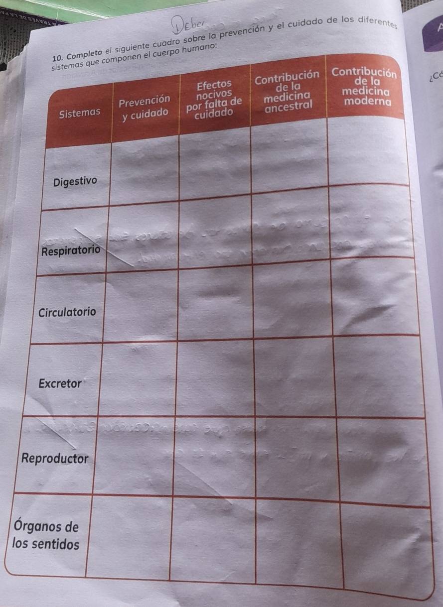 evención y el cuidado de los diferentes 
iCd 
R 
Ór 
los