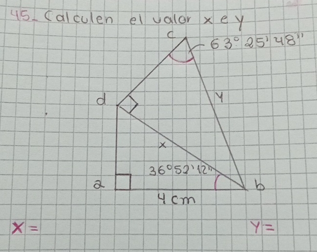 us (alculen elvalor xe y
x=
y=