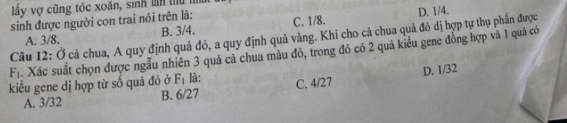 lầy vợ cũng tóc xoăn, sinh lan thủ 1
sinh được người con trai nói trên là:
A. 3/8. B. 3/4. C. 1/8. D. 1/4.
Câu 12: Ở cả chua, A quy định quả đỏ, a quy định quả vàng. Khi cho cà chua quả đỏ dị hợp tự thụ phần được
F_1 Xác suất chọn được ngẫu nhiên 3 quả cả chua màu đỏ, trong đó có 2 quả kiều gene đồng hợp và 1 quả có
kiểu gene dị hợp từ số quả đỏ ở F_1 là:
A. 3/32 B. 6/27 C. 4/27 D. 1/32