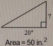 Area=50in.^2