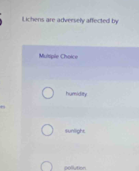 Lichens are adversely affected by
Multiple Choice
humidity.
es
sunlight.
pollution.