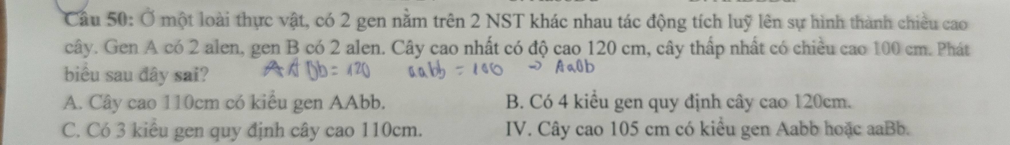 Cầu 50: Ở một loài thực vật, có 2 gen nằm trên 2 NST khác nhau tác động tích luỹ lên sự hình thành chiều cao
cây. Gen A có 2 alen, gen B có 2 alen. Cây cao nhất có độ cao 120 cm, cây thấp nhất có chiều cao 100 cm. Phát
biểu sau đây sai?
A. Cây cao 110cm có kiểu gen AAbb. B. Có 4 kiểu gen quy định cây cao 120cm.
C. Có 3 kiểu gen quy định cây cao 110cm. IV. Cây cao 105 cm có kiểu gen Aabb hoặc aaBb.