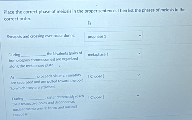 Place the correct phase of meiosis in the proper sentence. Then list the phases of meiosis in the 
correct order. 
Synapsis and crossing over occur during prophase 1
During_ the bivalents (pairs of metaphase 1
homologous chromosomes) are organized 
along the metaphase plate. , 
As_ proceeds sister chromatids [ Choose ] 
are separated and are pulled toward the pole 
` to which they are attached. 
During _, sister chromatids reach [ Choose ] 
their respective poles and decondense; 
nuclear membrane re-forms and nucleoli 
reappear