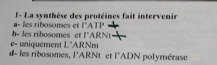 1- La synthèse des protéines fait intervenir
a- les ribosomes et lATP
b- les ribosomes et l’ARNt
c- uniquement L'ARNm
d- les ribosomes, l'ARNt et l'ADN polymérase