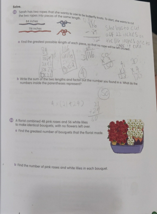 Solve. 
the two ropes into pieces of the same length. 
Sarah has two ropes that she wants to use to tie butterfly knots. To start, she wants to cut
84 inches
116 inches
a Find the greatest possible length of each piece, so that no rope will be left unused 
b Write the sum of the two lengths and factor out the number you found in a. What do the 
numbers inside the parentheses represent? 
A florist combined 48 pink roses and 56 white lilies 
to make identical bouquets, with no flowers left over. 
a Find the greatest number of bouquets that the florist made. 
b Find the number of pink roses and white lilies in each bouquet.